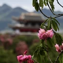 遵义旅游 缩略图 9