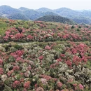 毕节旅游 缩略图 3