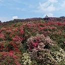 毕节旅游 缩略图 4