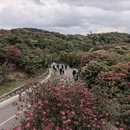 毕节旅游 缩略图 5