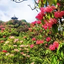 遵义旅游 缩略图 12