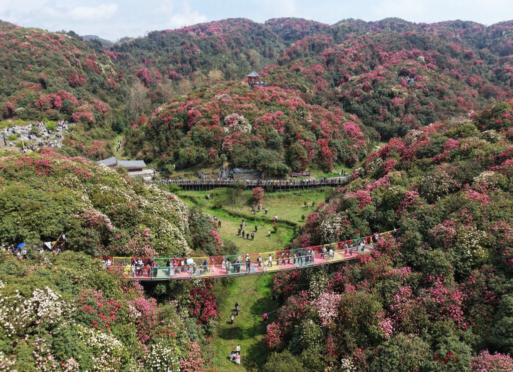 毕节旅游