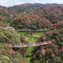 毕节旅游 缩略图 1
