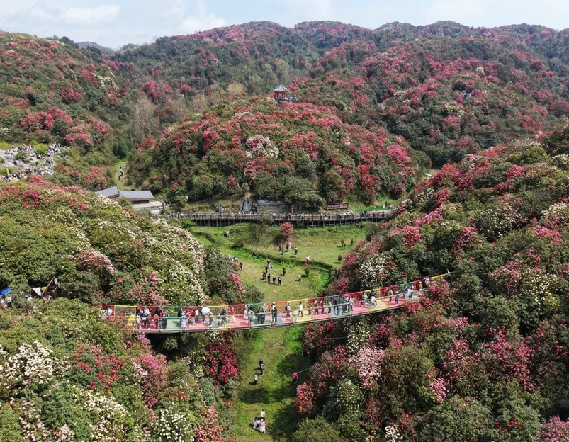 毕节旅游 1
