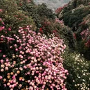 毕节旅游 缩略图 6