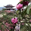 遵义旅游 缩略图 12