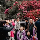 毕节旅游 缩略图 11