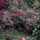 毕节旅游 缩略图 13