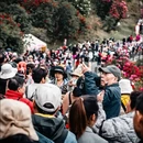 毕节旅游 缩略图 14