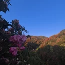 遵义旅游 缩略图 4