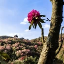 遵义旅游 缩略图 1