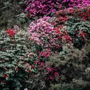毕节旅游 缩略图 16