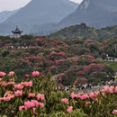 贵阳旅游 缩略图 3