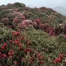 遵义旅游 缩略图 9
