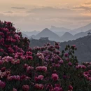 贵阳旅游 缩略图 2