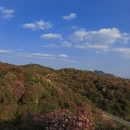 遵义旅游 缩略图 6