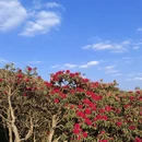 遵义旅游 缩略图 7