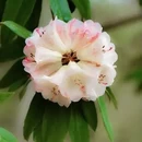 毕节旅游 缩略图 1