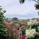 毕节旅游 缩略图 2