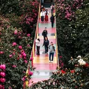 毕节旅游 缩略图 8