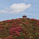 毕节旅游 缩略图 6