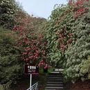 遵义旅游 缩略图 4