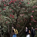 遵义旅游 缩略图 14