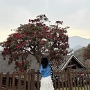 遵义旅游 缩略图 2