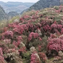 毕节旅游 缩略图 9