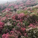 毕节旅游 缩略图 7
