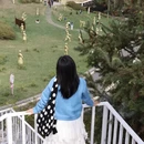 遵义旅游 缩略图 3