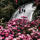 毕节旅游 缩略图 12