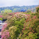 遵义旅游 缩略图 18