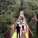 遵义旅游 缩略图 12