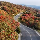 贵阳旅游 缩略图 5