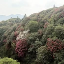 遵义旅游 缩略图 14