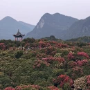 贵阳旅游 缩略图 7