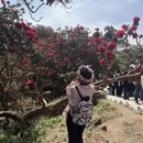 毕节旅游 缩略图 3