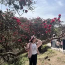 毕节旅游 缩略图 5