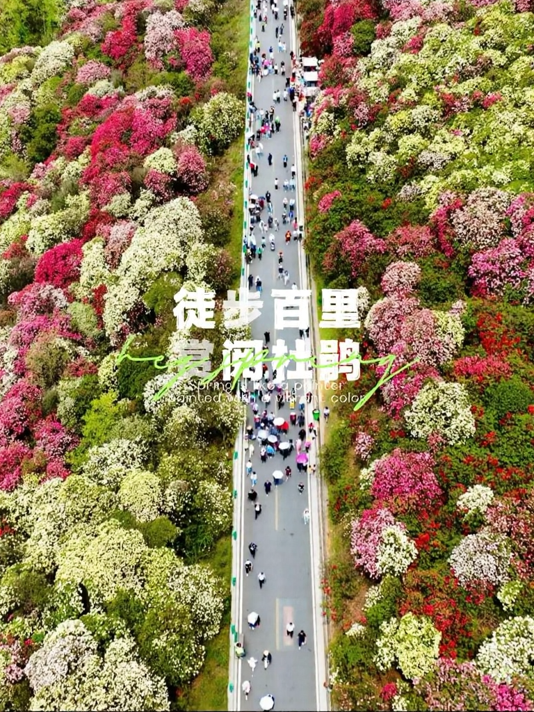 遵义旅游