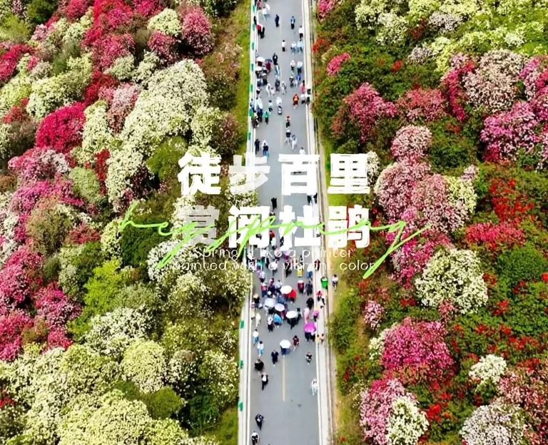 遵义旅游 1
