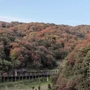 遵义旅游 缩略图 2