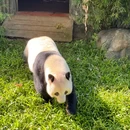 石家庄旅游 缩略图 5