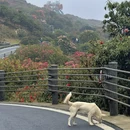 安顺旅游 缩略图 3