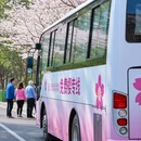 长沙旅游 缩略图 2