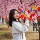 长沙旅游 缩略图 4