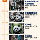 重庆旅游 缩略图 1