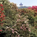 遵义旅游 缩略图 11