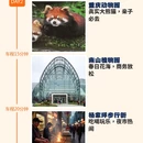 重庆旅游 缩略图 2