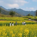 杭州旅游 缩略图 4